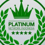 PT Platinum Network Indonesia Logo